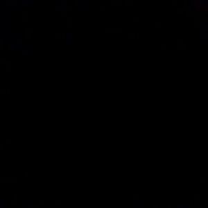 Meet your Posher, Donald